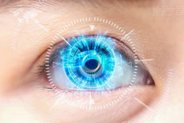 Eye retine