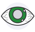 eye icon