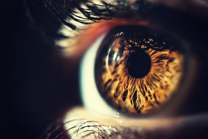 Zoomed image of an eye